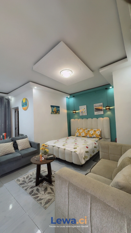Salon de l'appartement