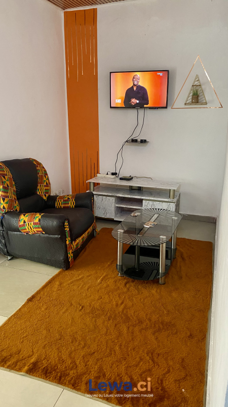 Salon de l'appartement