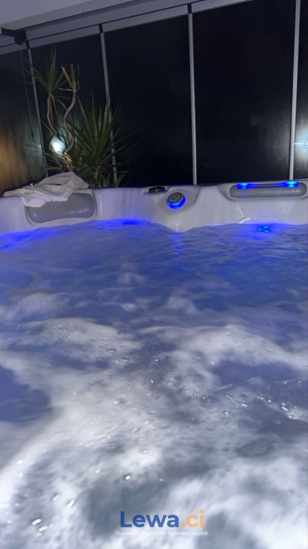 Salon de l'appartement