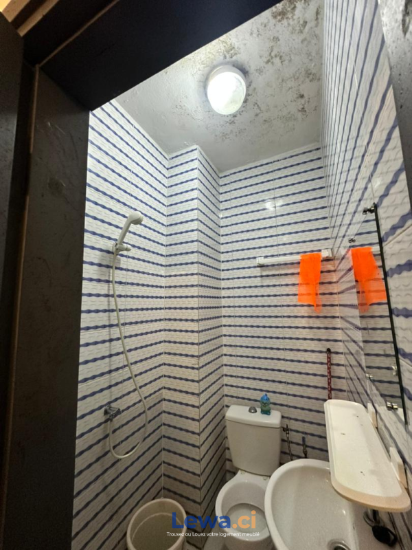 Salon de l'appartement