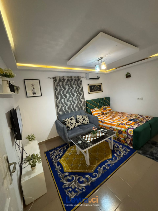 Salon de l'appartement