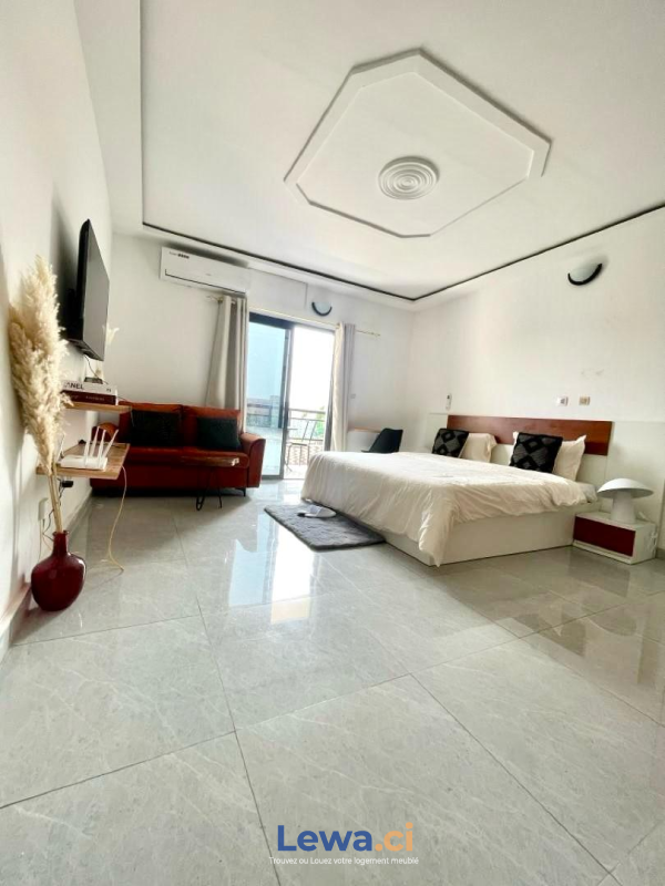 Salon de l'appartement