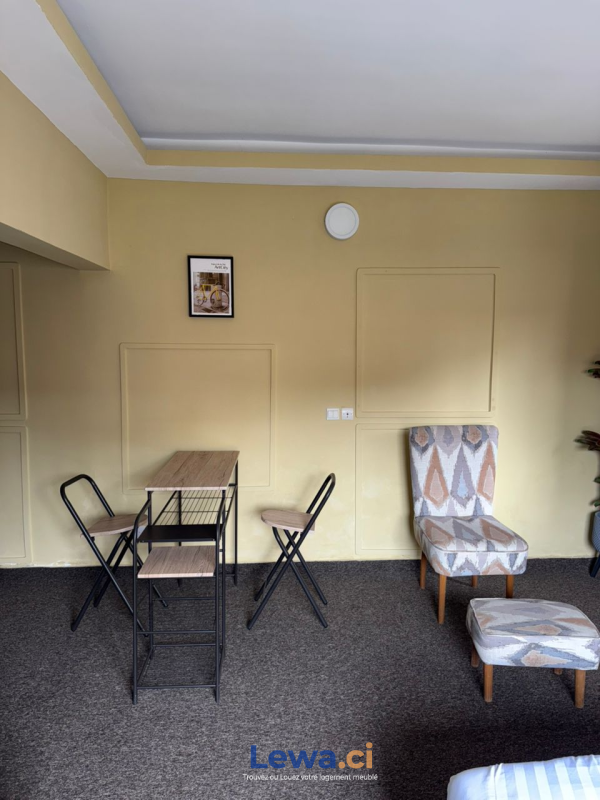 Salon de l'appartement