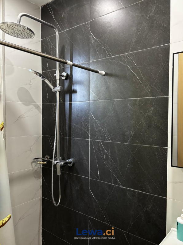 Salon de l'appartement