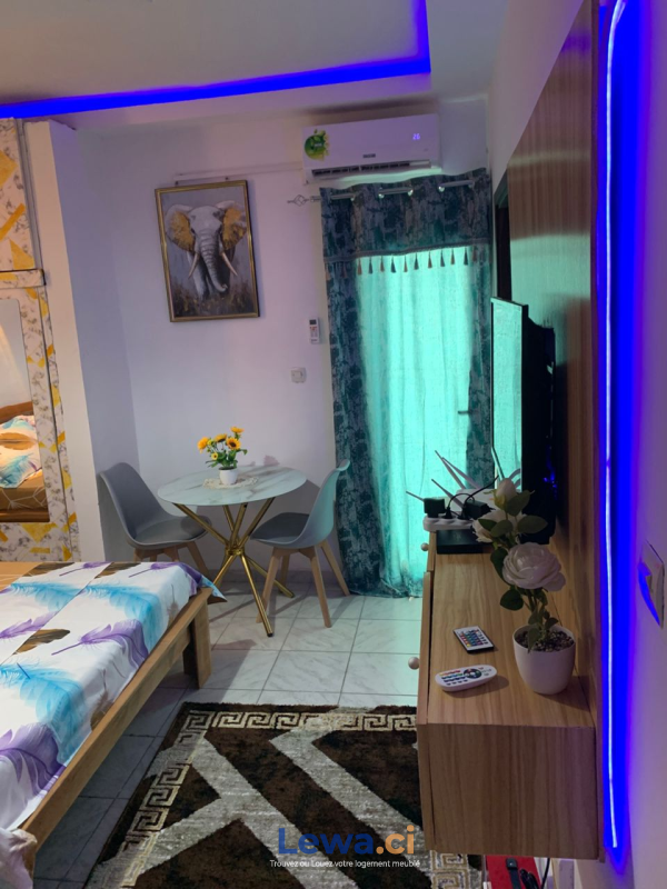 Salon de l'appartement
