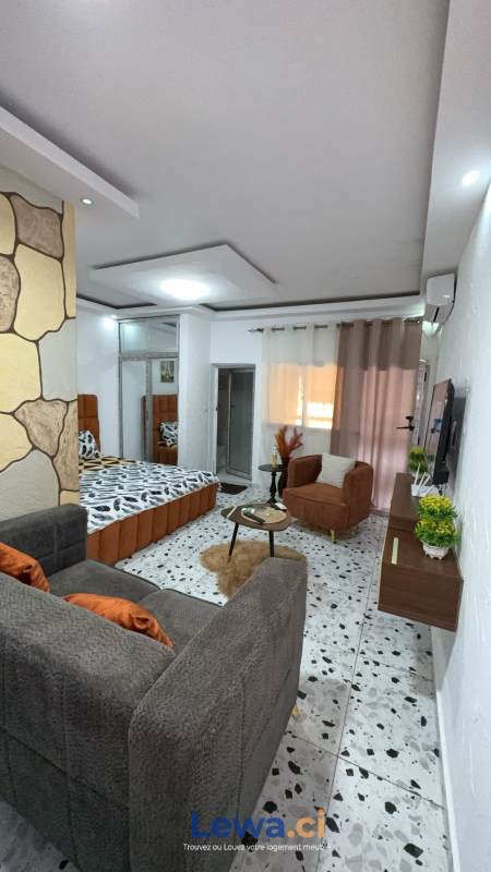 Salon de l'appartement