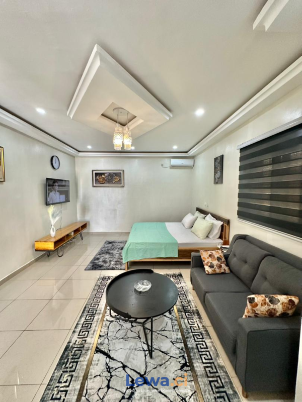 Salon de l'appartement