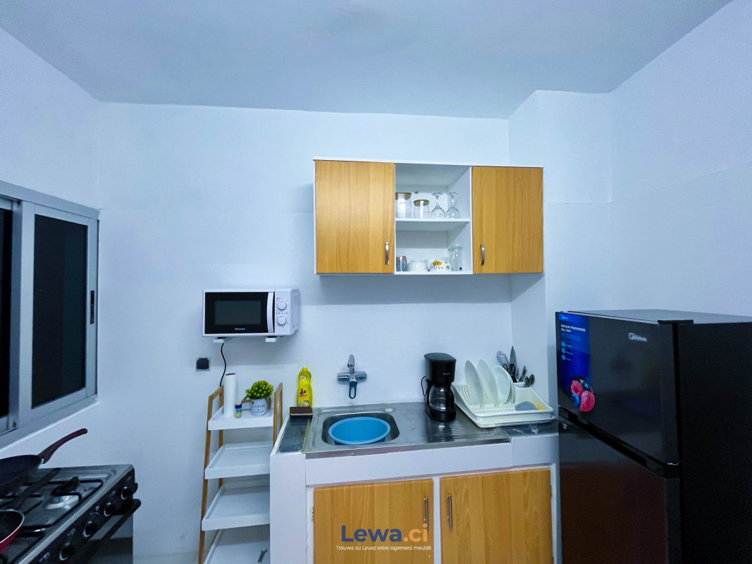 magnifique studiomeublé