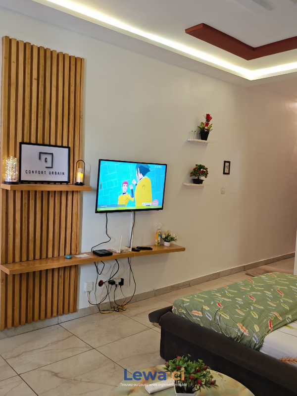 Salon de l'appartement