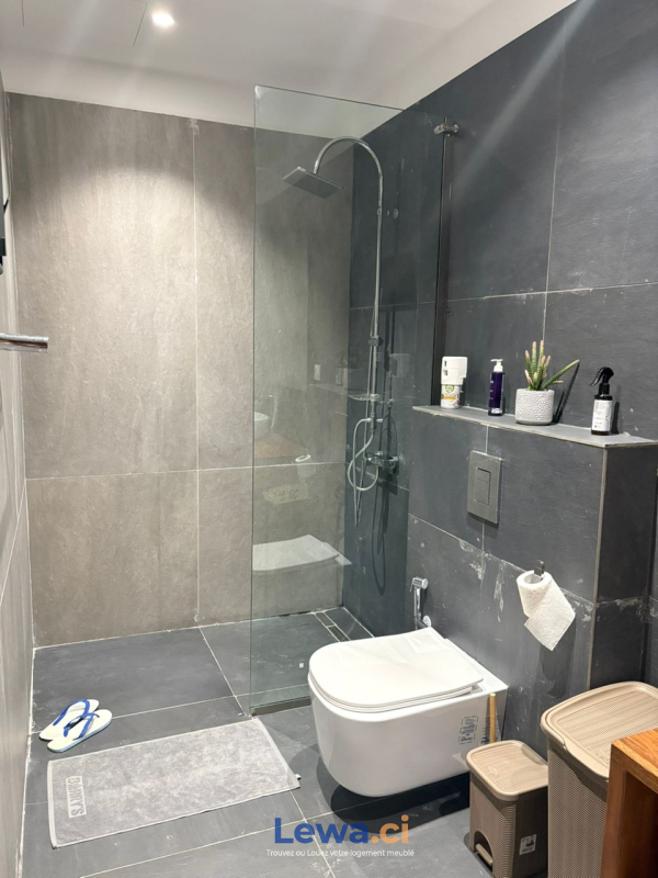 Salon de l'appartement