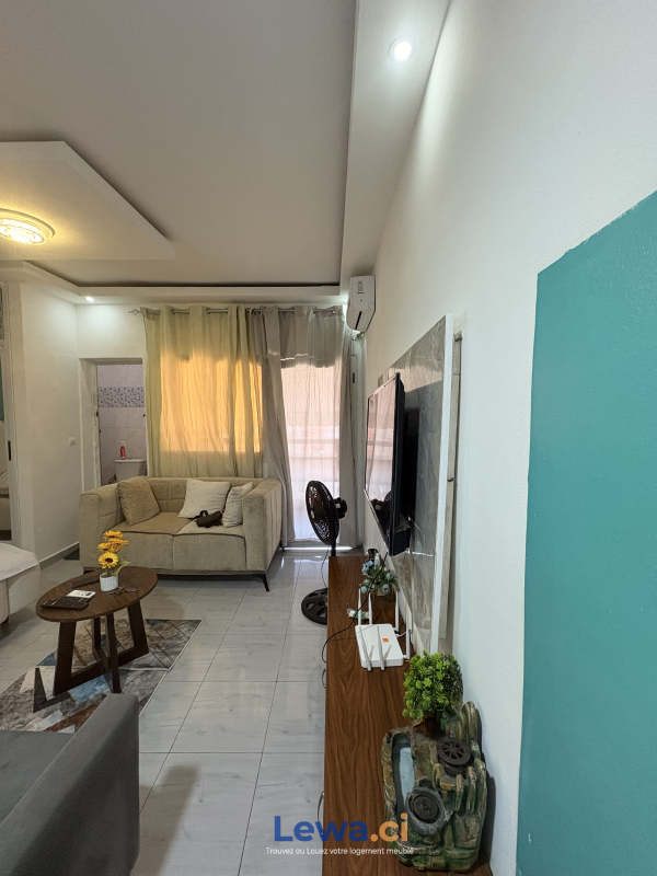 Salon de l'appartement