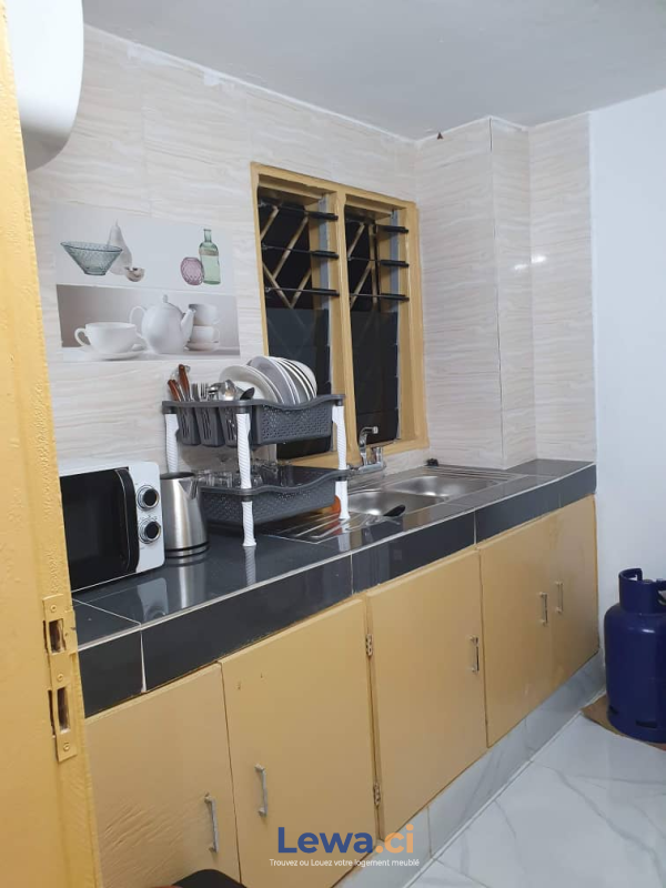 Deux plateaux apparemment meublé disponible