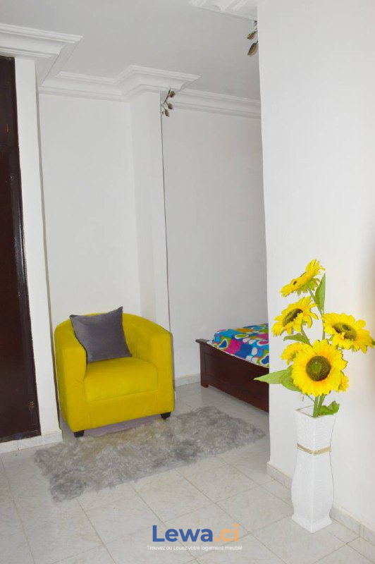 Salon de l'appartement