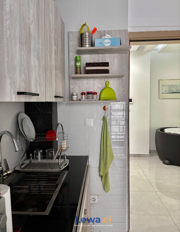 Salon de l'appartement