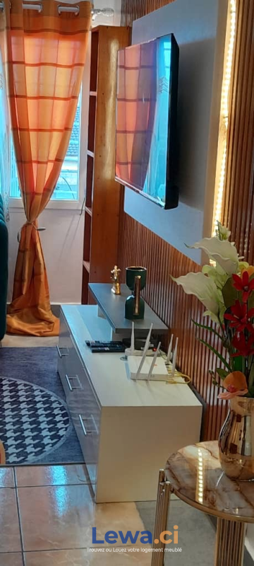 Salon de l'appartement