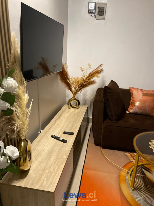 Salon de l'appartement