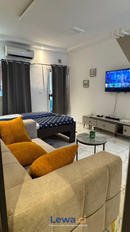 Salon de l'appartement