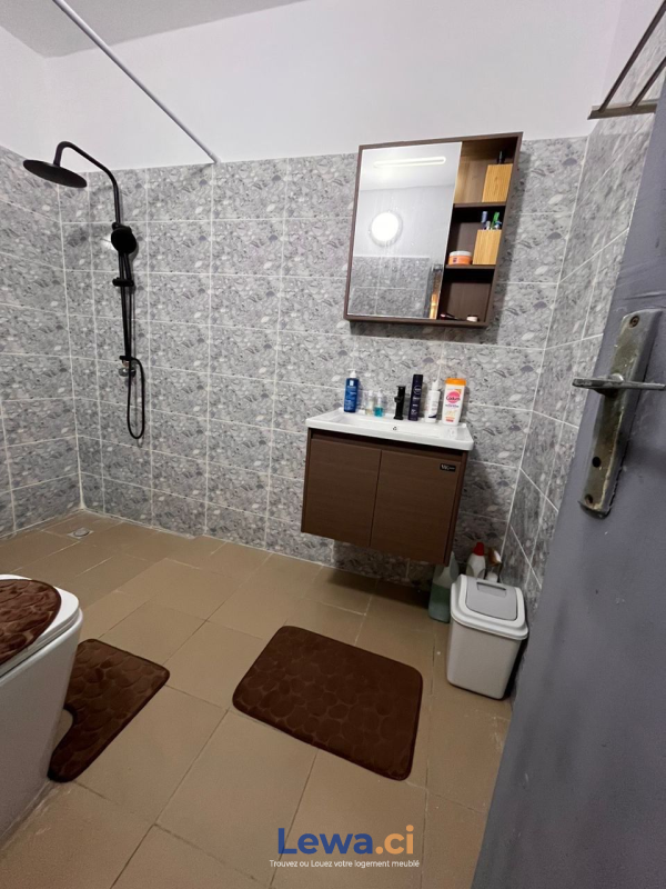 Salon de l'appartement