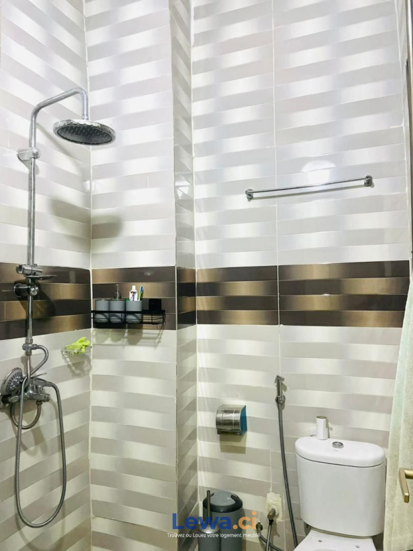 Salon de l'appartement