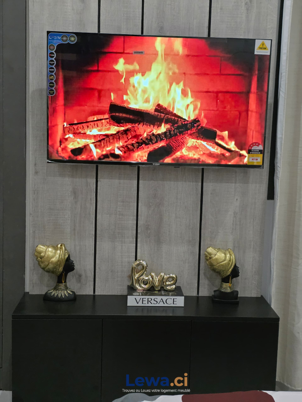 Salon de l'appartement