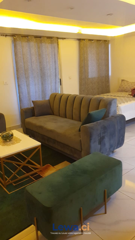 Salon de l'appartement