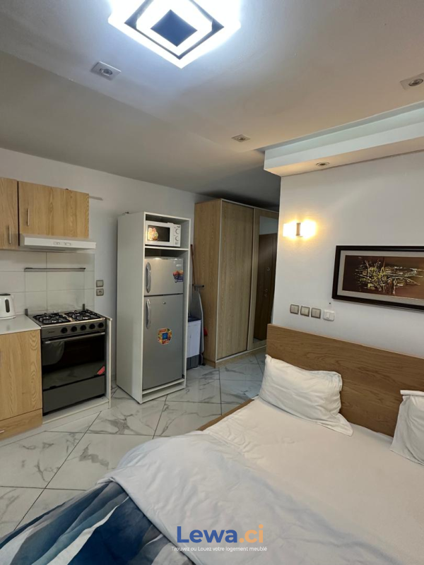 Salon de l'appartement